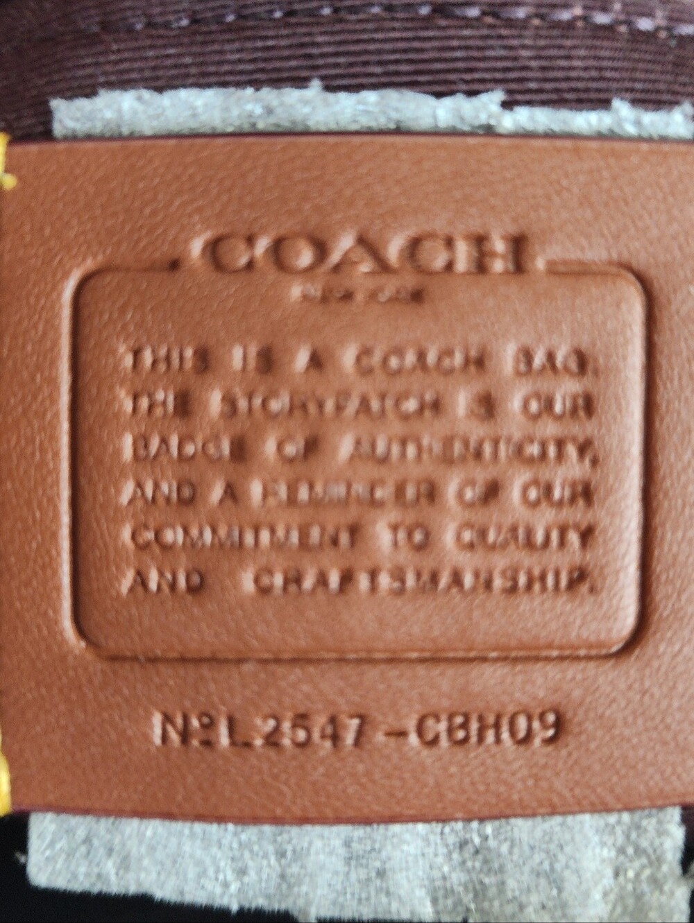 Coach Hadley Black Pebbled Leather Mini Backpack with Gold-Tone Hardware - Picture 3 of 6